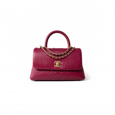 CHANEL MASTER COCO HANDLE BURGUNDY PYTHON AGED GOLD HARDWARE (23*13*9cm)